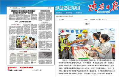 EZPay西北集团珑樾府项目高温慰问——《陕西日报》
